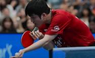 开云体育平台APP-英国乒乓球队碾压法国乒乓球队，樊振东送出助攻