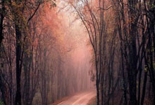 开云体育下载-DRX强势V5,Doinb完成帽子戏法