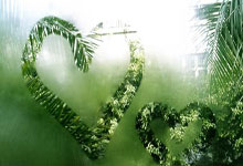 开云体育登录-荷兰大胜丹麦，苏亚雷斯神奇上演帽子戏法——足球盛宴的精彩瞬间