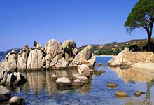 开云体育在线-欧洲网球队爆冷击败世界冠军，阿尔卡拉斯爆发神勇引爆赛场